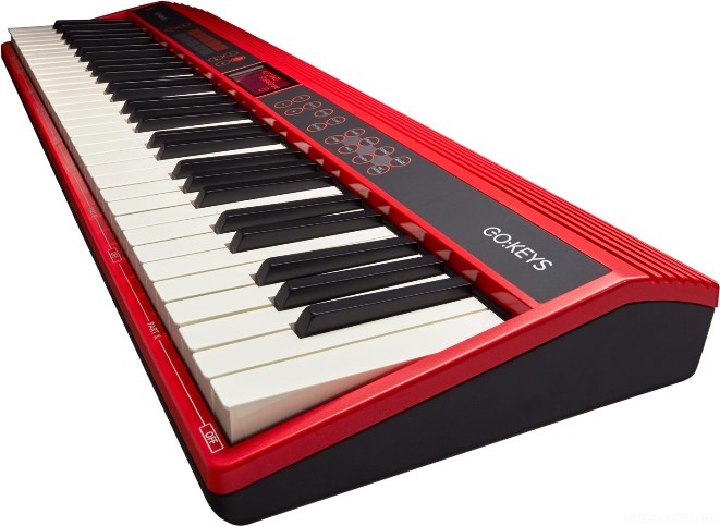 Фото Roland GO-61K