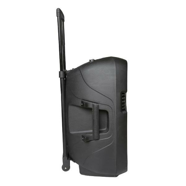 Фото Активная акустическая система ECO VOYAGE XII