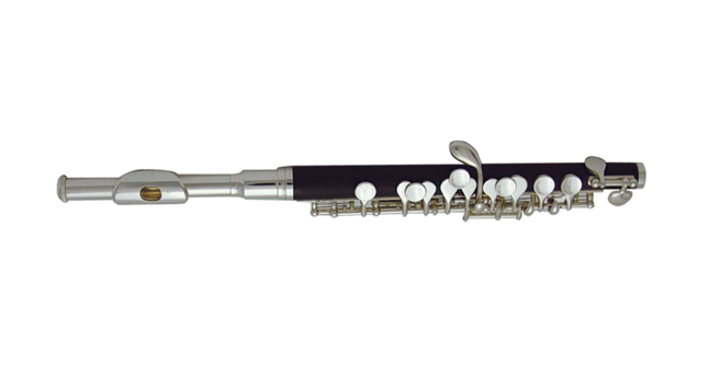 Фото Флейта пикколо WISEMANN DPL-400