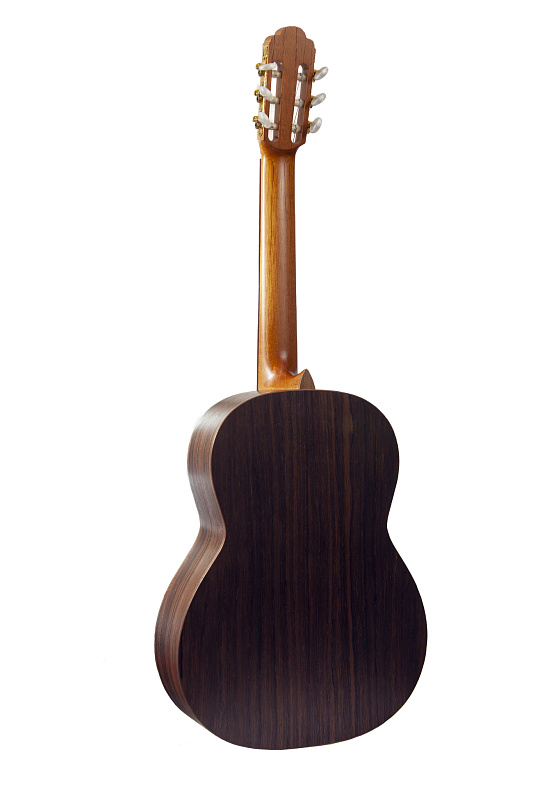Фото NewTone Soloist Concert CL AS CT N RW