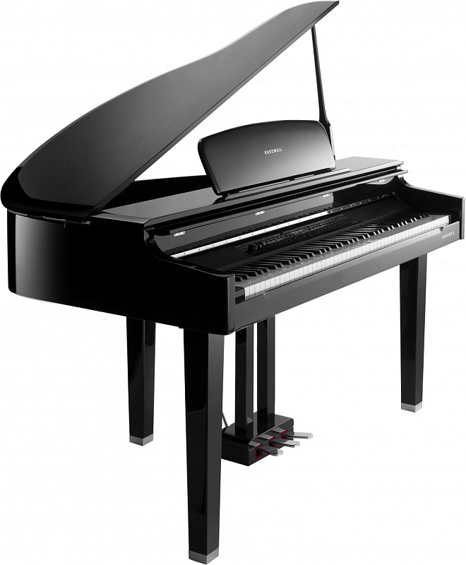 Фото Kurzweil MPG200