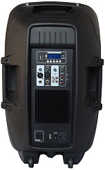 Активная акустическая система Xline PRA-150