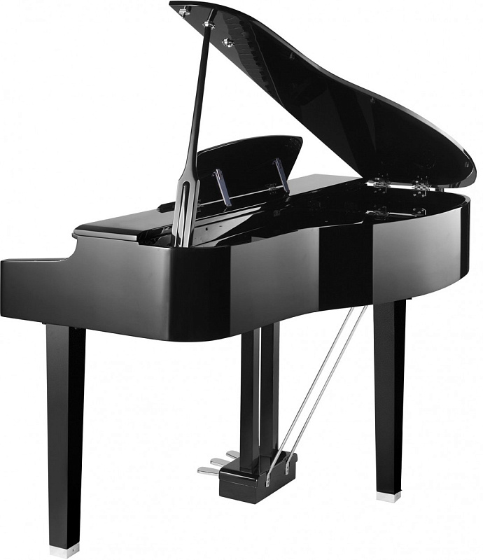 Фото Kurzweil MPG200