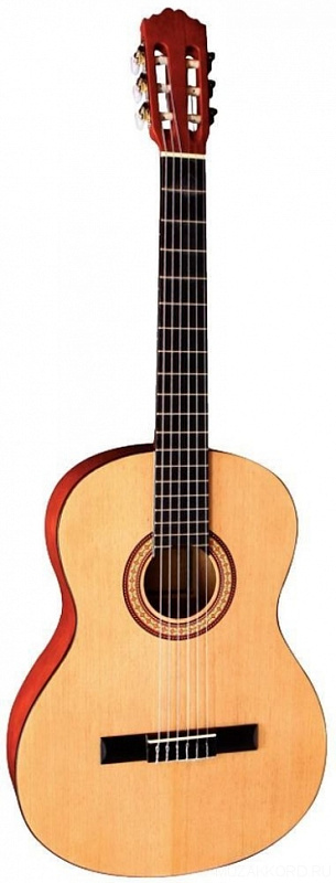 Фото TENSON Classic Guitar - Student Series 4/4