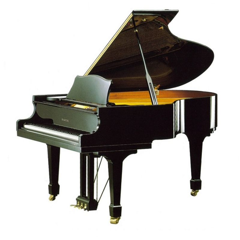Фото SAMICK NSG175D/EBHP