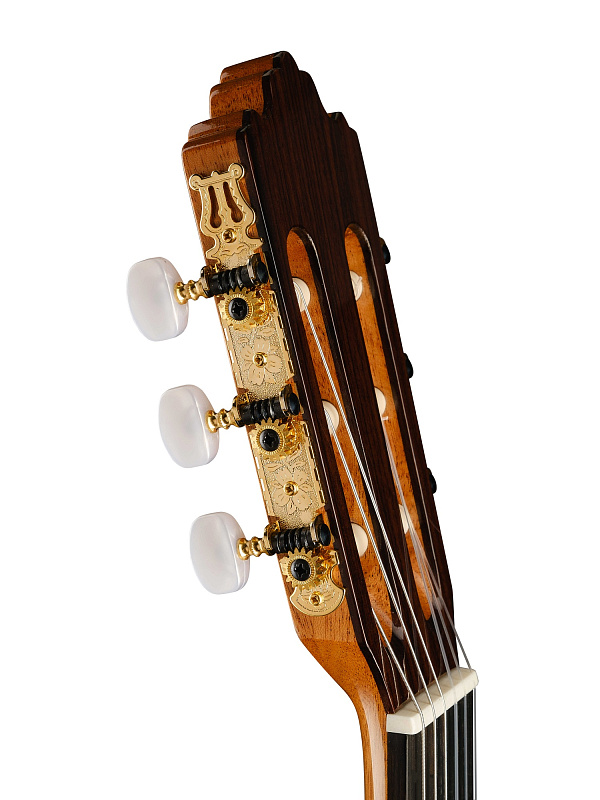 Фото Классическая гитара 4/4 Prodipe JMFSOLOIST700 Soloist 700