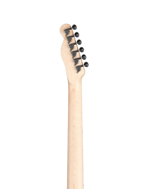 Фото Электрогитара Homage Telecaster SS HEG350BK  