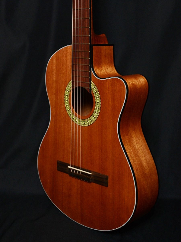 Фото Гитара Livingstone Folkblues NS 39" с вырезом
