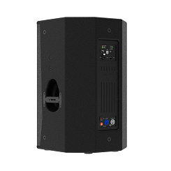 Активная акустическая система MOOSE C12A