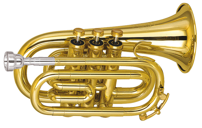 Фото Труба-мини "Bb" AMATI ATR 314I-O 