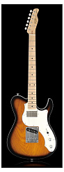 FGN J-Standard Iliad JIL-MH 2TS  электрогитара, цвет - санбёрст