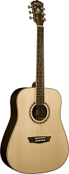 WASHBURN WD20S