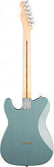 FENDER AM PRO TELE DLX SHAW RW SNG