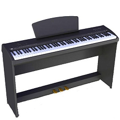 Sai Piano P-9BK