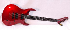 Washburn WM27B