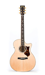 MARTIN GPCPA2