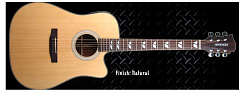 FERNANDES PD18C N