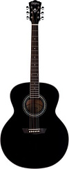 WASHBURN WPJ5S-B