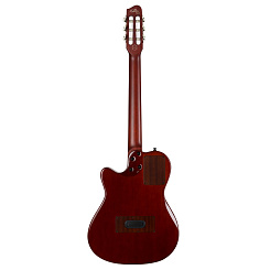 Godin 032266 MultiAc Nylon Duet Ambiance