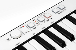 IK MULTIMEDIA iRig Keys