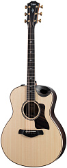 Taylor 816ce Builderâs Edition