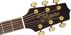 TAKAMINE GD51CE-NAT