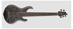 B. C. RICH JMH5BV