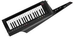 KORG RK100S-2 BK