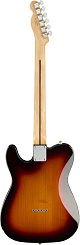 FENDER PLAYER TELE HH PF 3TS 