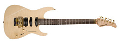 FERNANDES FR STANDARD N