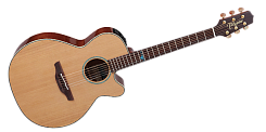 TAKAMINE LEGACY TSF40C