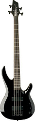 Washburn BB4(GM, B, DBL)