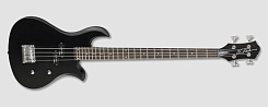 B. C. Rich EB1O