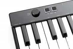 IK MULTIMEDIA iRig Keys 25